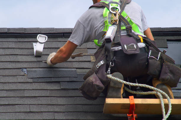 Best Shingle Roofing Installation  in Many, LA