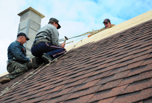 Best Roof Gutter Cleaning  in Many, LA